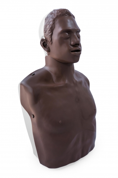 OBI Conversion Kit web